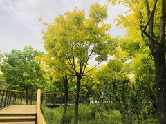 -东郊湿地公园