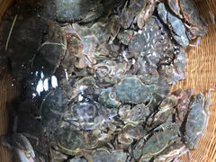 -最佳西方金华世贸大饭店