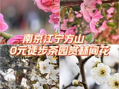 -南京市江宁方山