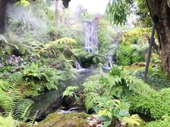 -Chom Cafe and Restaurant