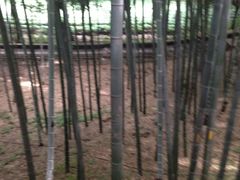 iphone_upload_pic-杭州黄龙洞