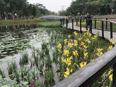 -映月湖公园