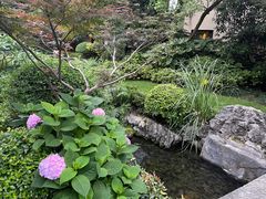 -新荣记(西溪湿地店)