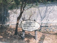 -香山公园-东宫门售票处