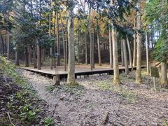 -四明山国家森林公园