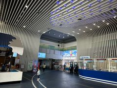 -绍兴启迪乔波冰雪世界