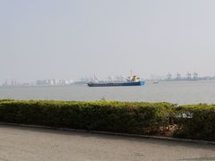 -海鸥岛