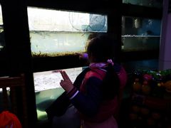 -全乐鱼馆·淳牌有机鱼直营店
