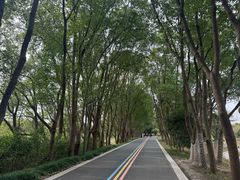 -同里国家湿地公园