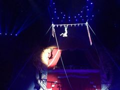 -珠海横琴长隆《卡卡虎奇遇记》