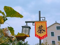 -东梓关景区村庄