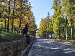 -上海长兴岛郊野公园