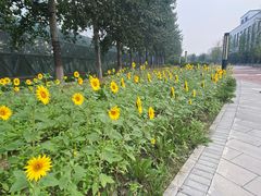 -北京国家会计学院