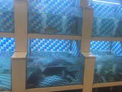 -野渡坡·极致湘菜·庭院餐厅(汉阳店)