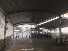 -国际邮轮中心码头(厦鼓码头)