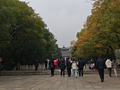 -晋祠公园