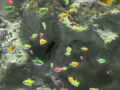 -苏州海洋馆