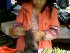 -布吉农产品批发市场