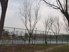 -回龙观体育文化公园