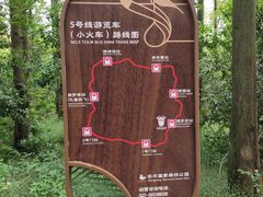 -东平国家森林公园