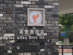 -迪士尼乐园停车场