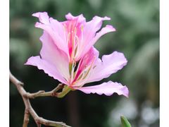 -荔湾湖公园