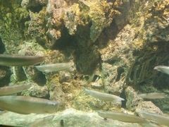 海洋馆-南昌动物园