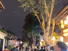 -小龙翻大江文化火锅(宽窄店)