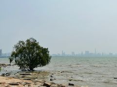 -深圳湾公园(南山区)