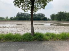 -嘉北郊野公园