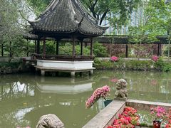 -上海醉白池公园