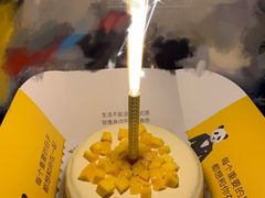 -熊猫不走生日蛋糕(东城店)