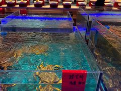 -鸽子张·家宴(大兴店)