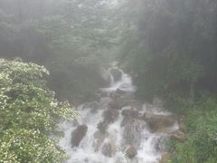 android_upload_pic-天柱山风景区