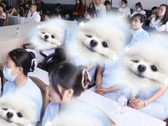 -沈阳铁西万象汇