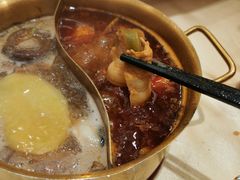 -小天鹅火锅·一线江景洪鼎旗舰店(洪崖洞店)