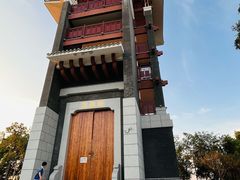 -王借岗森林公园