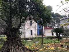 -常德桃花源景区