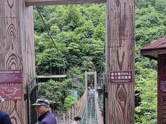 -燕子河大峡谷天坑仙境