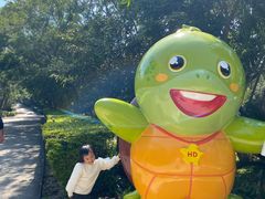 -广东惠东海龟国家级自然保护区
