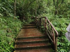 -海南热带雨林国家公园吊罗山景区