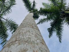 -三亚蜈支洲岛旅游区