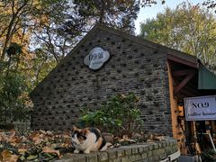 -T80科技文化国际社区-停车场