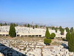 -原山国家森林公园