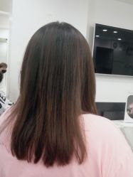 -YESIDO椰岛造型