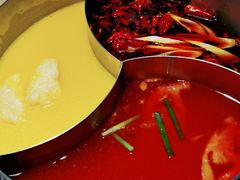 -青瓷火锅料理(西单大悦城店)