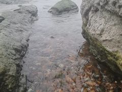 -上海市保健医疗中心