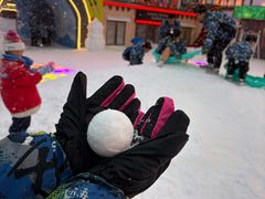 -世界之窗阿尔卑斯冰雪世界