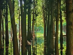 -捞渔河湿地公园