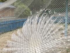 -沈阳森林动物园
